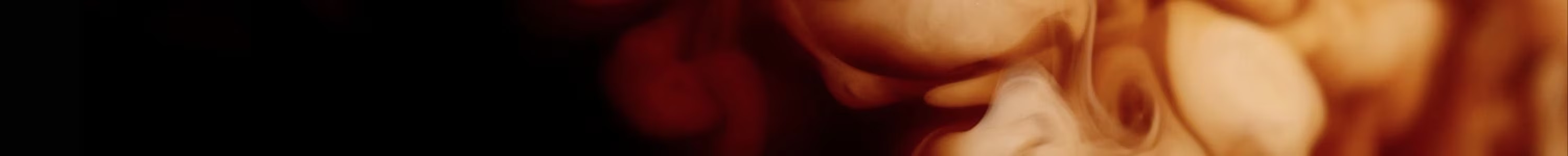 Formato Ahorro banner