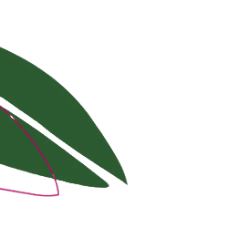 Green leaf