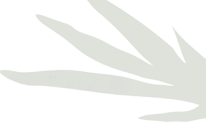 Gray leaf
