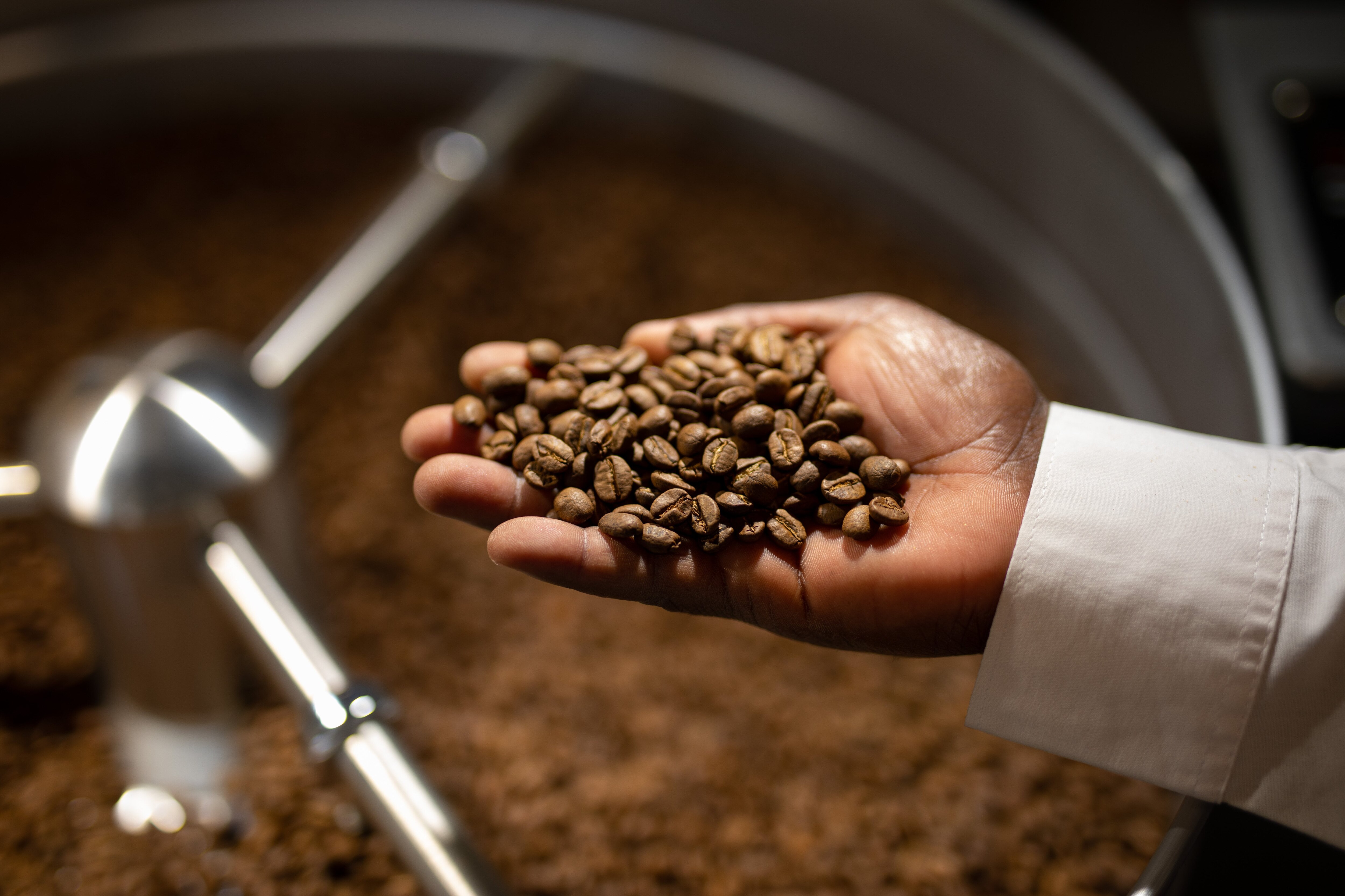 Café robusta recién tostado Café robusta recién tostado