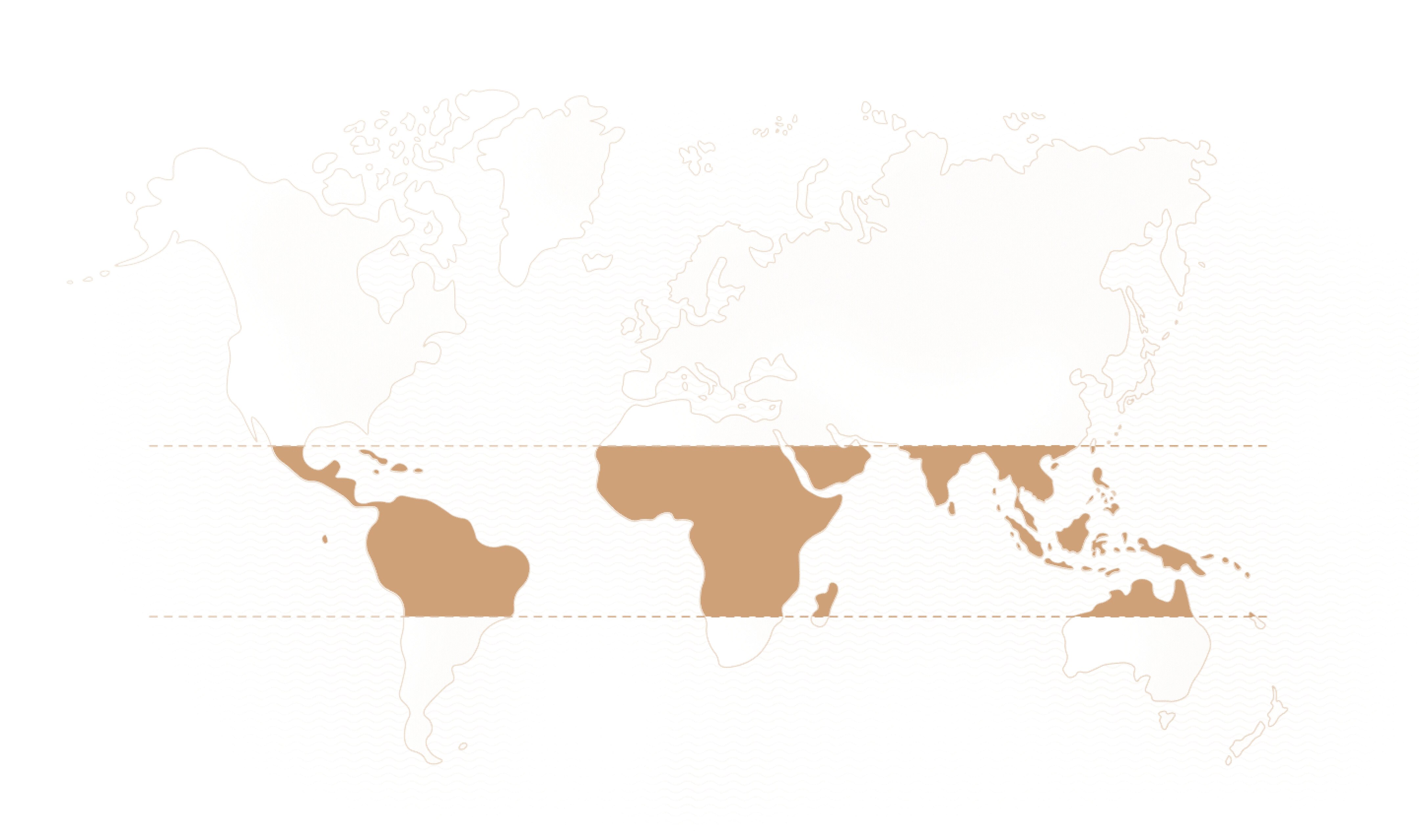 Mapa Perú, Colombia, México y Brazil