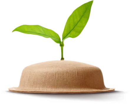 C&aacute;psula NEO con una hoja verde