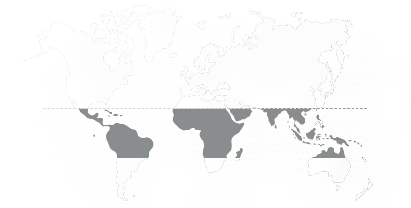 Mapa Perú, Colombia, México y Brazil