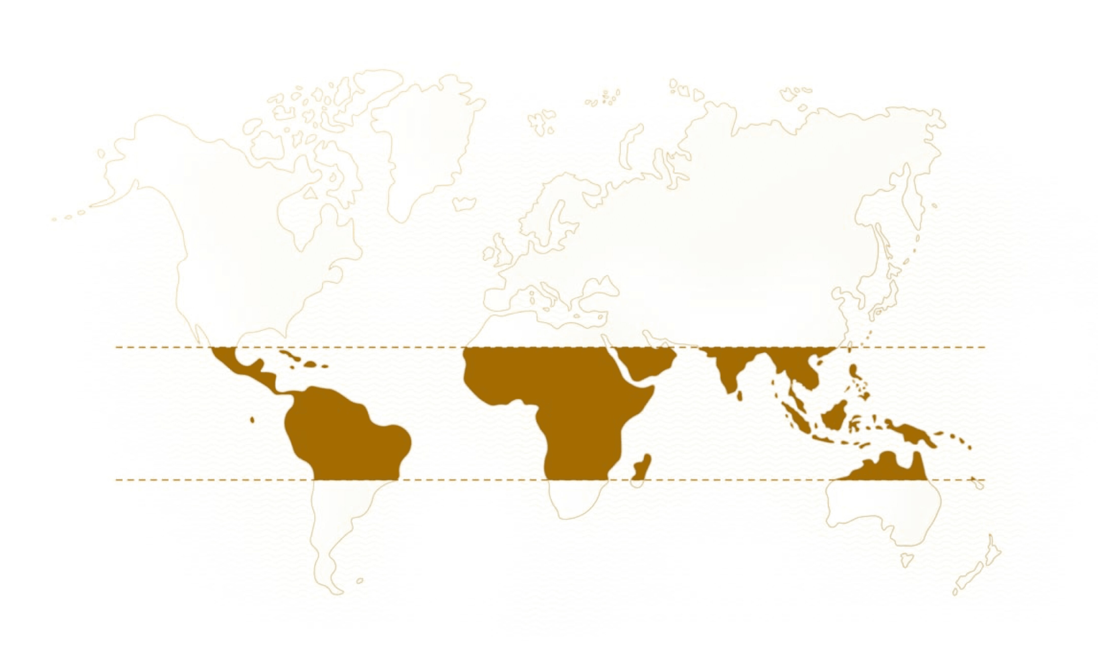Mapa Perú, Colombia, México y Brazil