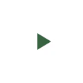 Play button