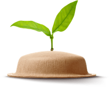 Cápsulas de café compostables