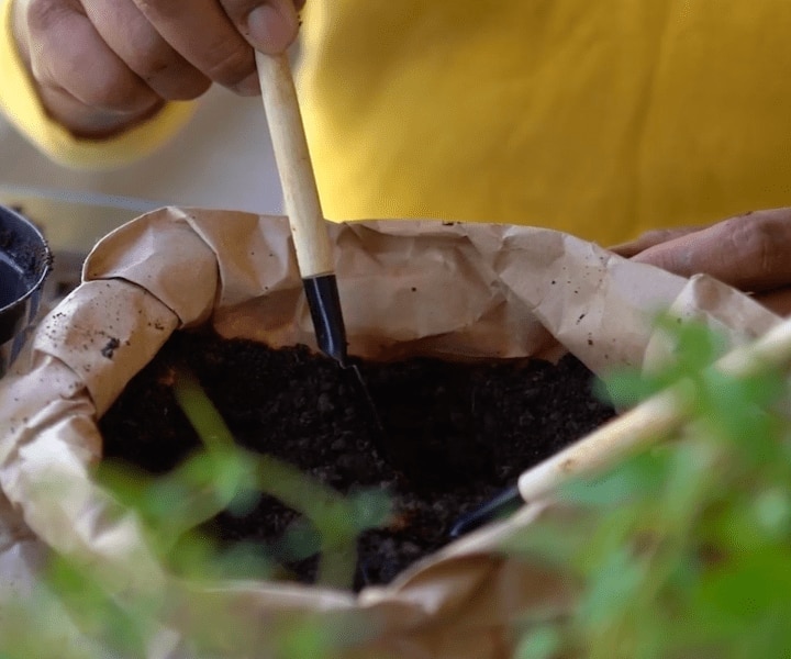 Cápsulas de café compostables