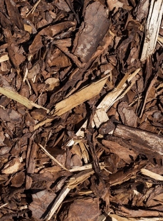 Composición cápsula