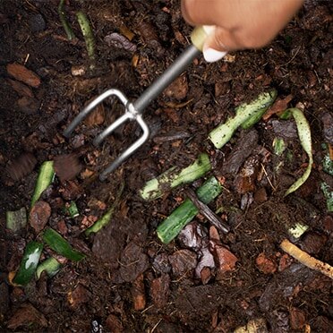 Capa de compost