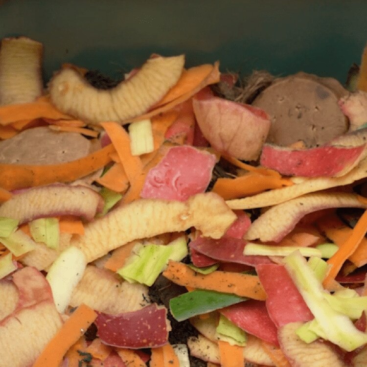 Reciclar materia orgánica