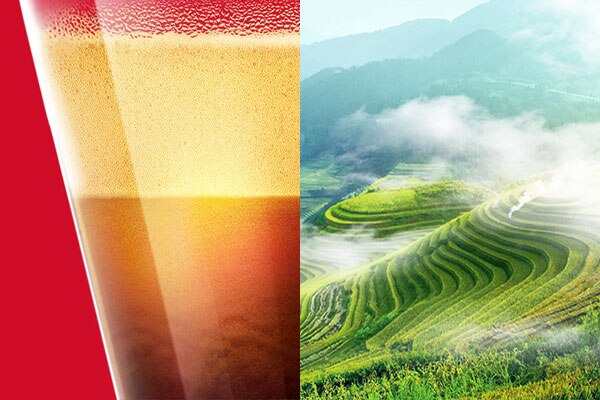 Café de Yunnan inspirado en la gastronomía china Café de Yunnan