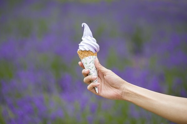 Sabores de helados aromáticos Helado de lavanda