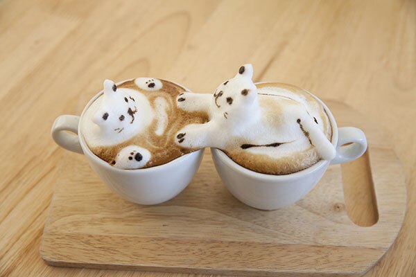 barista cappuccino fantasia cappuccino fantasia