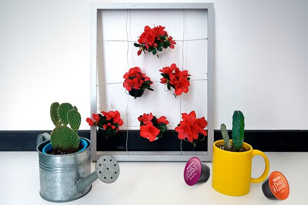 DIY jardin vertical capsulas dolce gusto DIY jardin vertical capsulas dolce gusto