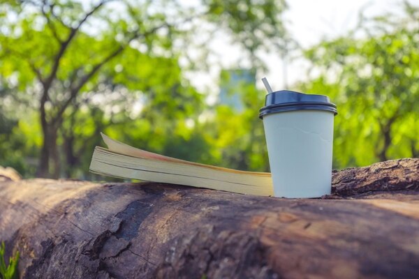 libros y cafe libros y cafe