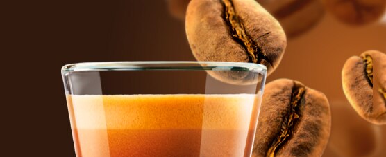 EXPERTOS EN CAFÉ