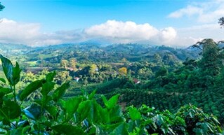 Ethiopia Colombia Vietnam