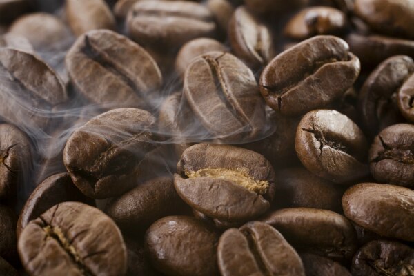 grano de cafe aromas grano de cafe aromas