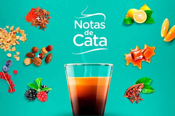 Notas de cata variedades Dolce Gusto Notas de cata variedades Dolce Gusto
