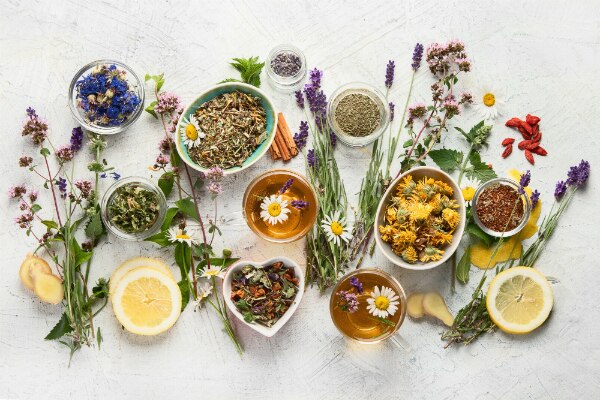 Todo sobre el té Todo sobre el té