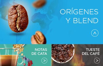 Notas de cata