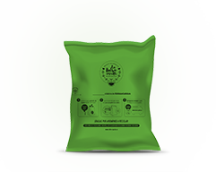Bolsa