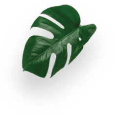 NEO Starbucks&reg; Breakfast Blend Americano decoration Image